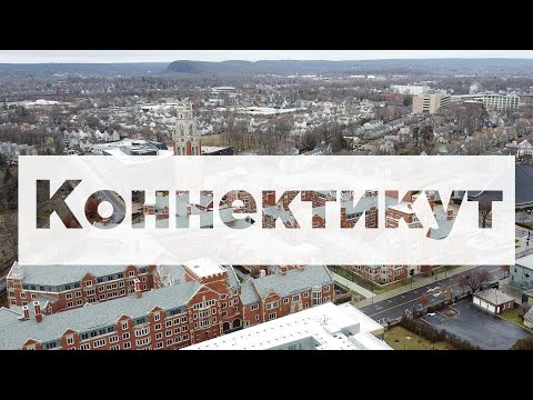 Бейне: Коннектикут штатының ағашы - Charter Oak & Қосымша CT таңбалары