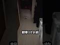 朝帰りの私が見守りロボット越しのお父さんに叱られることに...一人暮らしに自由がなくなる?!#見守りカメラ #ロボッとうちゃん #癒し動画 #お笑い動画 #おもしろ動画  #whatthepet