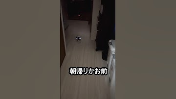朝帰りの私が見守りロボット越しのお父さんに叱られることに...一人暮らしに自由がなくなる？！#見守りカメラ #ロボッとうちゃん #癒し動画 #お笑い動画 #おもしろ動画  #whatthepet
