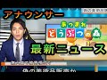 【Twitterで話題】島で怪しい侵入者が詐欺！？【あつ森】
