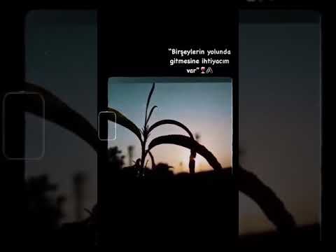 #İnstagram İçin Kısa Story Videolar HD | 2020