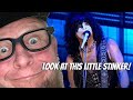 The best paul stanley introduction to cold gin you will ever see