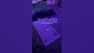 القرآن الكريم #قران_كريم #المصحف #راحة_نفسية #yasseraldossary #لايك #اكسبلور #قرآن