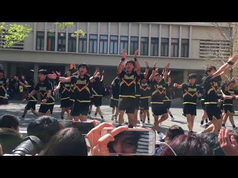 SHOCKERS 2018早稲田大学入学式 新歓演技