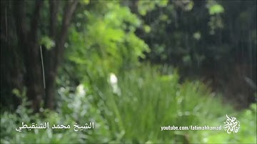 أذكار الصباح والمساء 🌿 - الشيخ محمد الشنقيطي