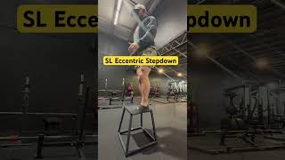 SL Eccentric Stepdown