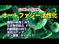 【オートファジー活性化】《528Hz×528Hz》 細胞の修復と再生 有害物質除去 デトックス 内臓機能の向上 免疫力アップ ガン抑制 ダイエット