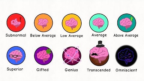 Every Level Of Intelligence Explained in 5 Minutes