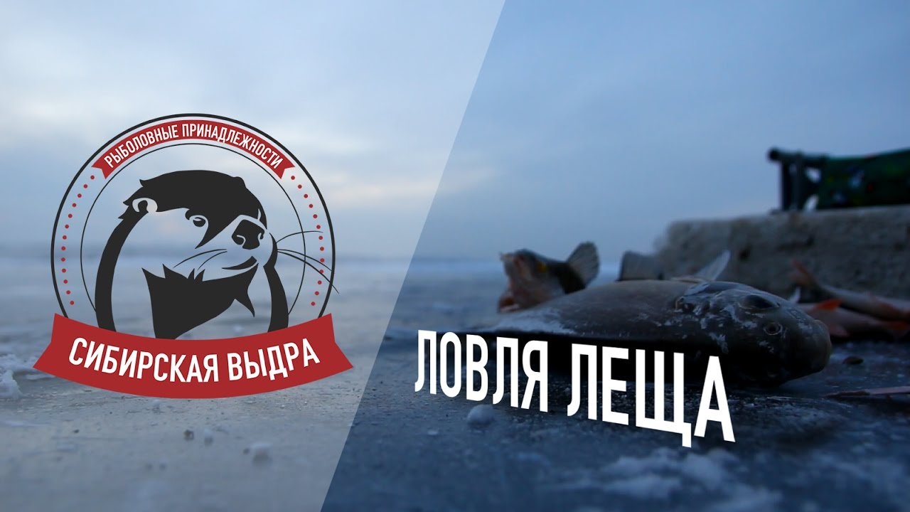 видео ловли леща на красноярском водохранилище видео ловли леща сверху красноярском водохранилище
