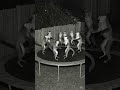 Monkeys jump #shorts #funny