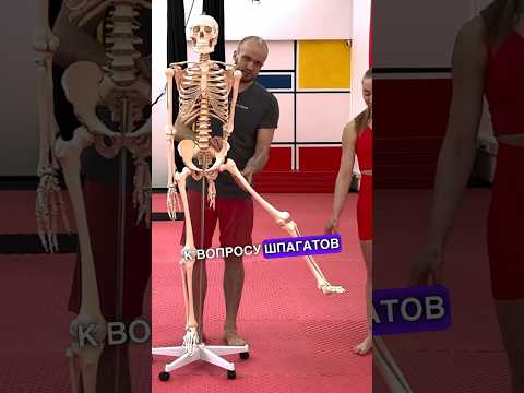 Все ли могут сесть на шпагат?Нет!