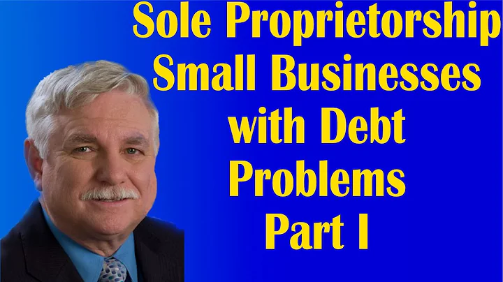 Sole Proprietorship Small Businesses with Debt Pro...
