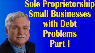 Sole Proprietorship Small Businesses with Debt Problems Part I