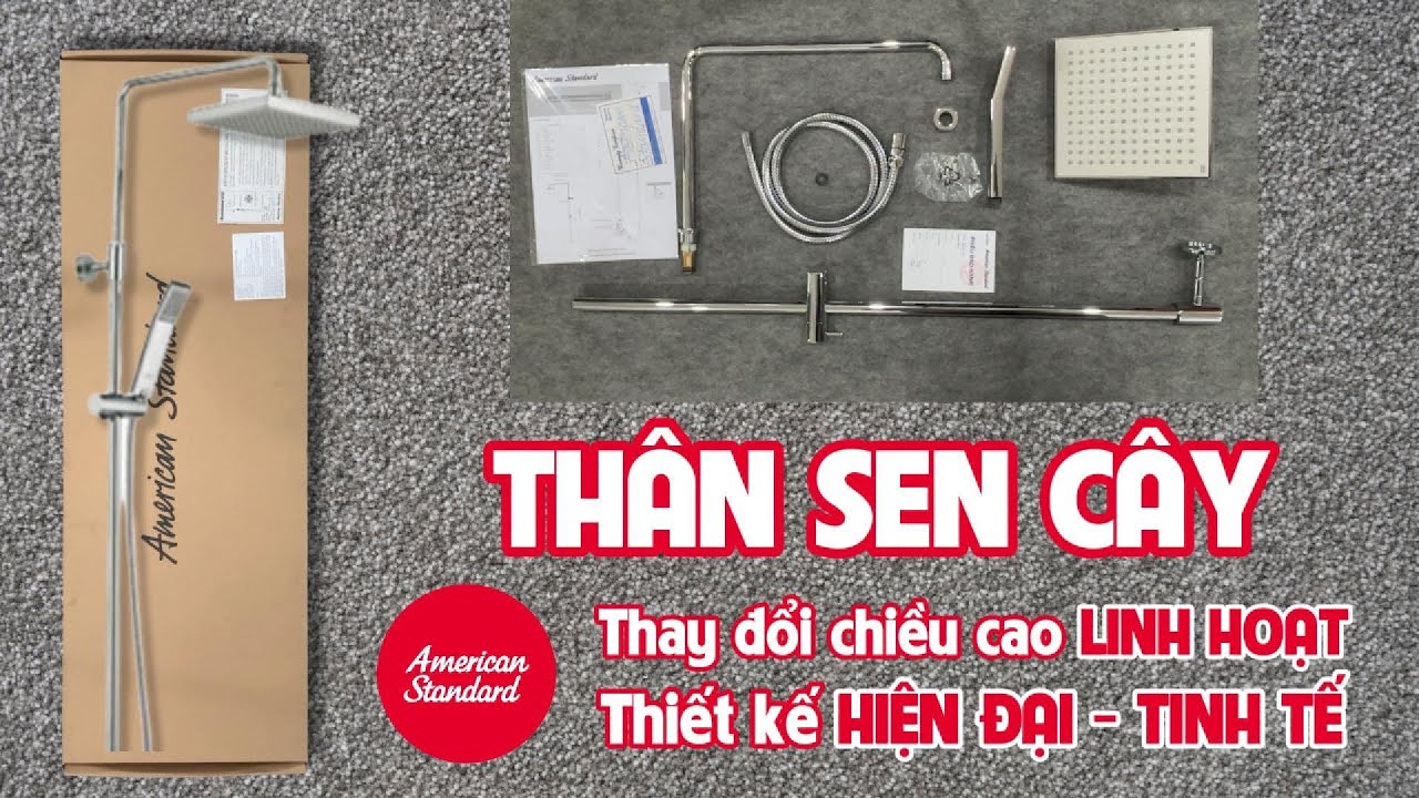 Cây sen American Standard A-6110.978.903 (A6110978903)