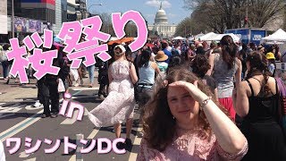 ワシントンDCの桜祭り！2018