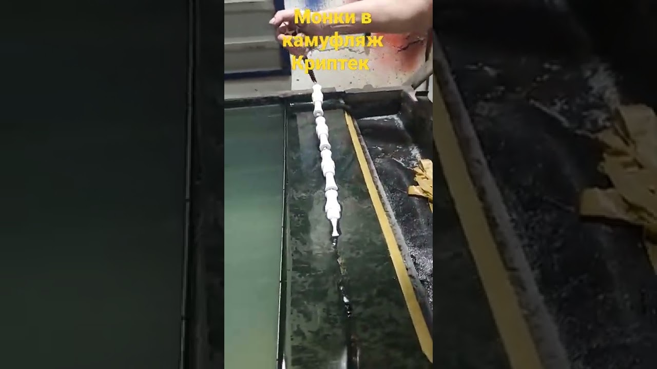 Аквапринт Манков в Камуфляж Криптек