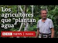 Los agricultores que convirtieron un desierto en un bosque | BBC Mundo