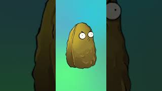 5 Datos De La Nuez Cáscara-Rabias