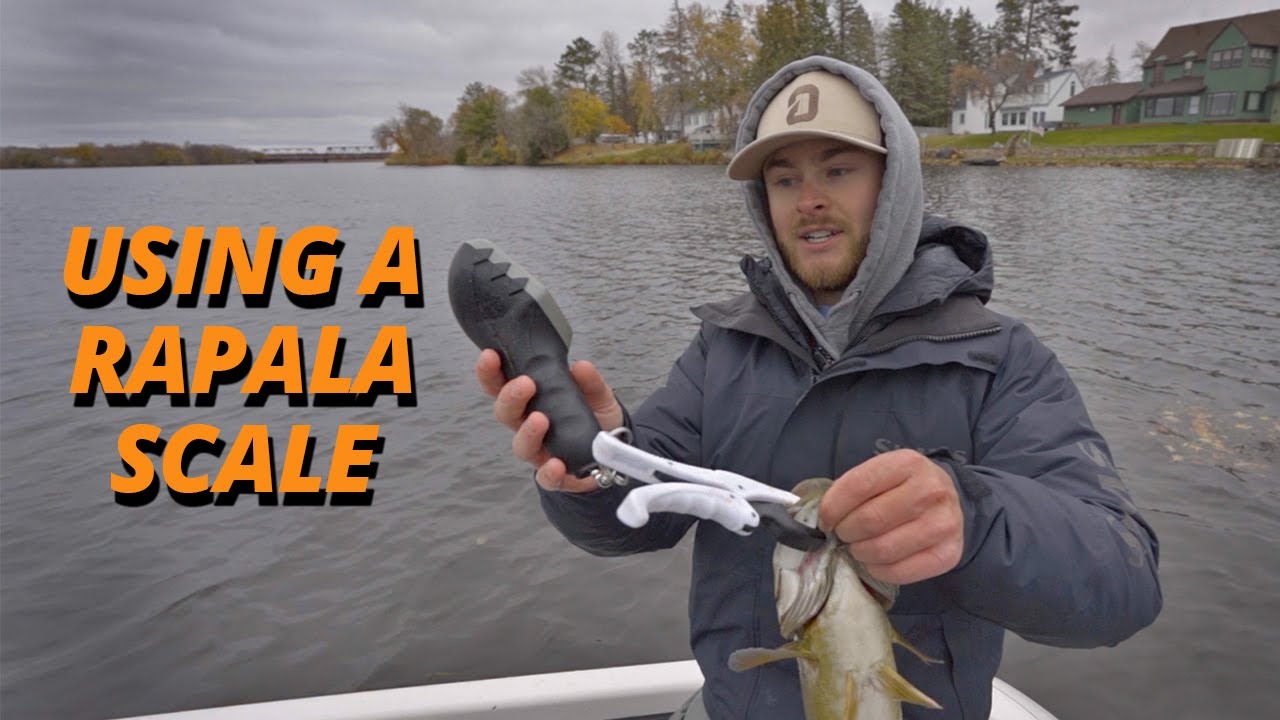 How to Use the Rapala Touch Screen Scale with Jacob Bros 