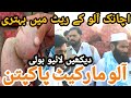 Alo ka taza rate dekhin video #yasiragriinformationvlog #sabzimandipakpattan #foryoupagereels