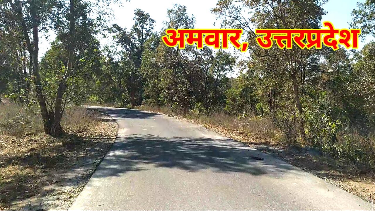 अमवार रोड उत्तर प्रदेश,।Amwar Uttarpradesh #up #uttarpradesh #amwar # ...