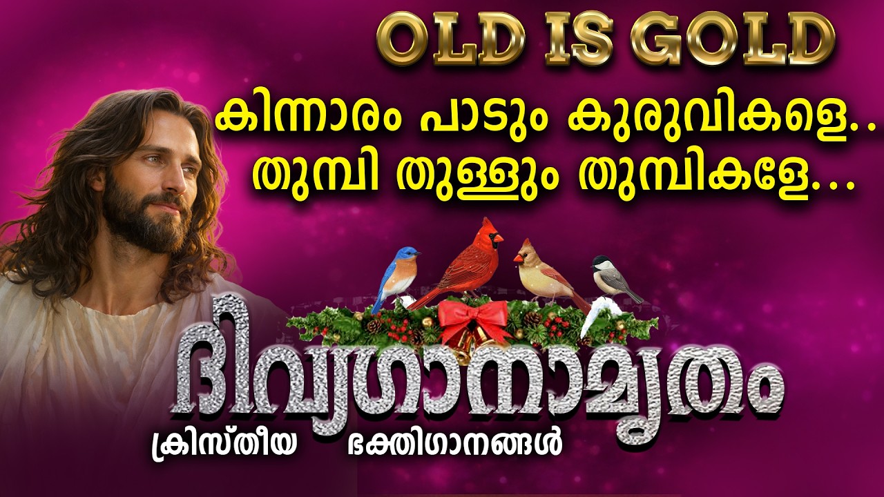 Kinnaram padum kuruvikale I കിന്നാരം പാടും കുരുവികളേ I