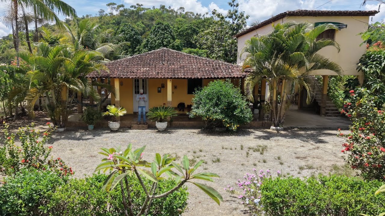 Linda chácara à venda Serro azul Palmares PE 1 hectare casa de alpendre água e árvores frutíferas 