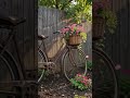 bicycle flower decoration