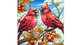 Red Birds | Color Oasis - Paint By Number screenshot 3