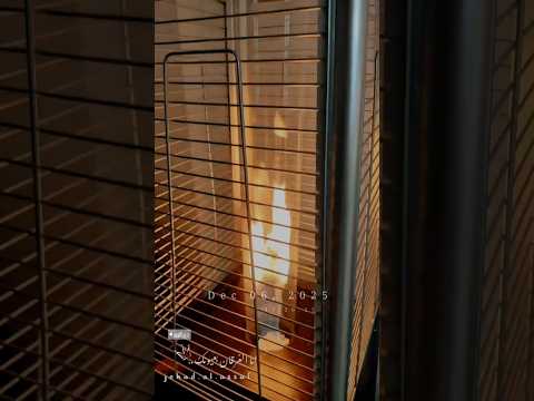 انا الغرقان بعيونك ناصر الوبير