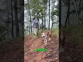 Speed Ruks Tested: Can Shoes Beat Loyal Dogs? #shorts