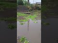dekh sakte hain gas aap log kaisa Pani pada hai jo ki barf gir raha hai katras ka haitrending #insta