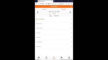 Celayix - Team Xpress - TimeSheets TimeCards