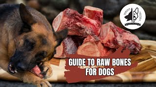 Guide to Raw Bones for Dogs