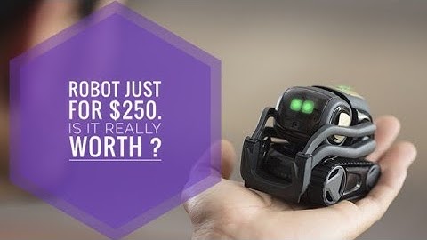Awesome Robot just for $250 | Home Robot Vector
