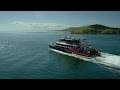 This is the Northwest: Seattle Whale Watching to the San Juan Islands | FRS Clipper