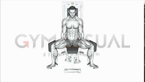 Lever Seated Hip Abduction
