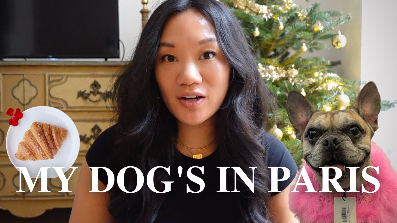 Can You Bring A Dog To Paris