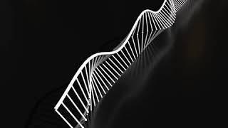 Timeshift Illusion Animation