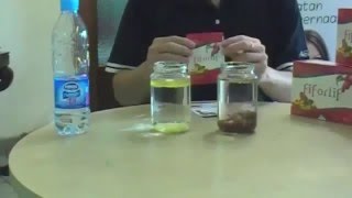 Cara Kerja FIFORLIF SLIMMING FIBER