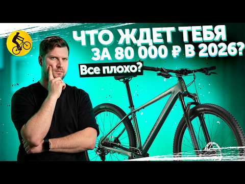 A mountain bike for 80,000 in 2026. How to choose?