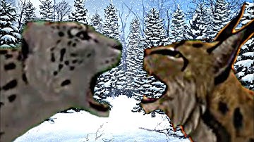 Snow Leapard VS Lynx! (Short 3D Animation)