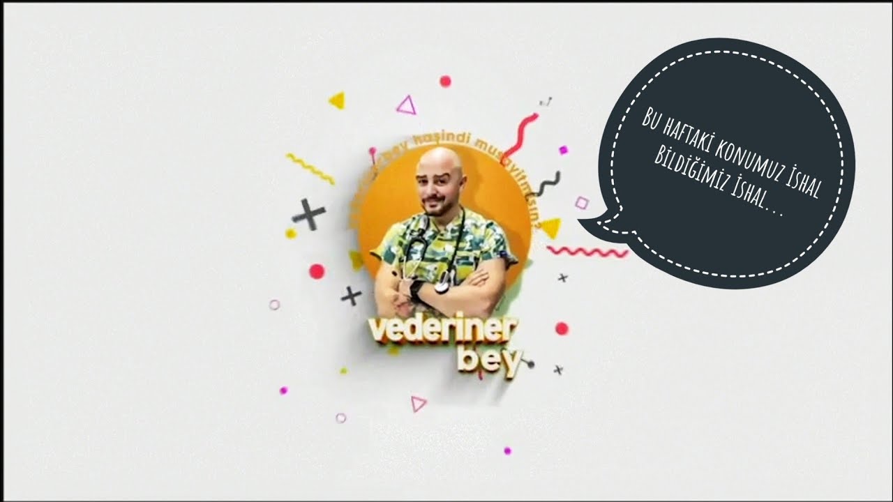 En sık karşılaştığımız şikayet: Kedi ishali köpek ishali