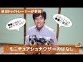 ミニチュアシュナウザーってどんな犬?飼い方?特徴は? 現役ドックトレーナーの犬種紹介(Miniature Schnauzer)
