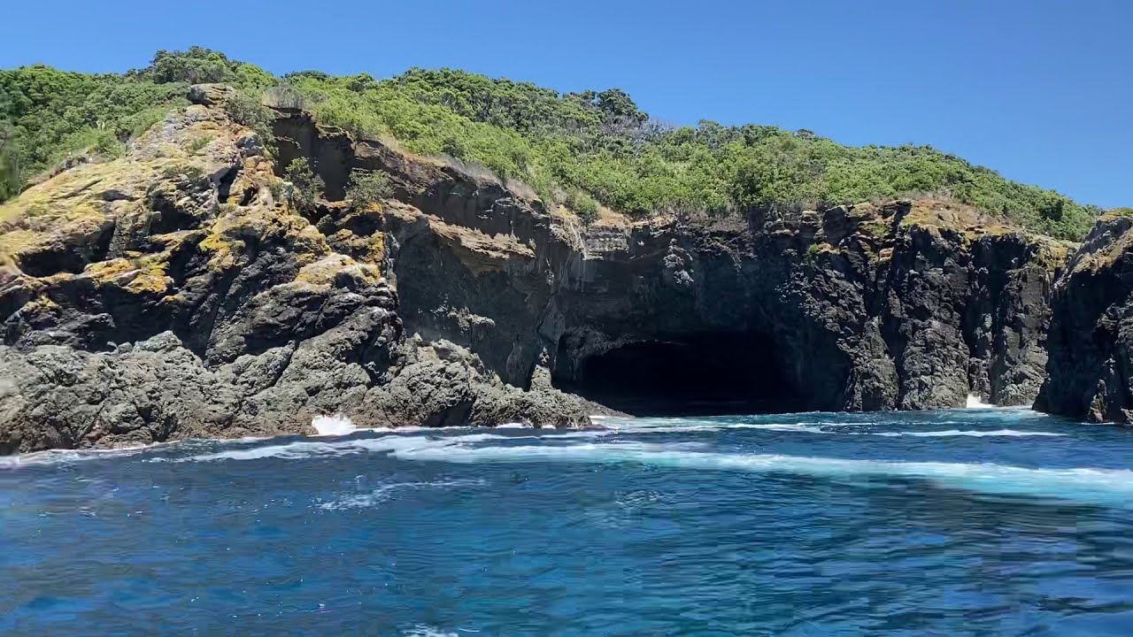 Glass Bottom Boat Goat Island Auckland YouTube