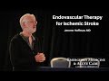 Endovascular Therapy for Ischemic Stroke - Jerome Hoffman, MD