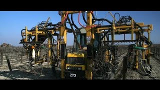 Mechanical Wine Grapevine Pruning Machine with Spray Application