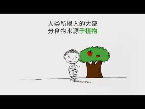 在一个正在生长的植物作物中，四个4因素对维持生命有多大的作用？