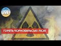 ❗️У Чорнобильській зоні горять понад 10 тисяч гектарів лісу / Останні новини з України