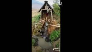 Tuav Cos Dej Toj Siab